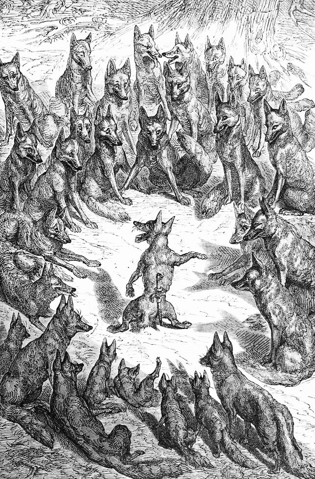 The Fox Who Lost His Tail - Fables of Aesop