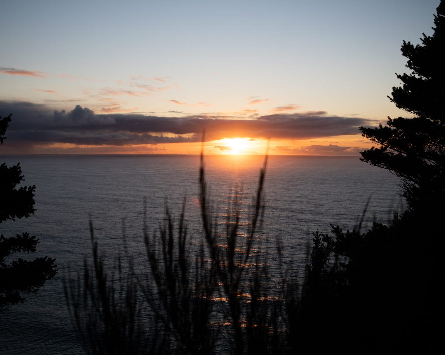 Oregon Coast