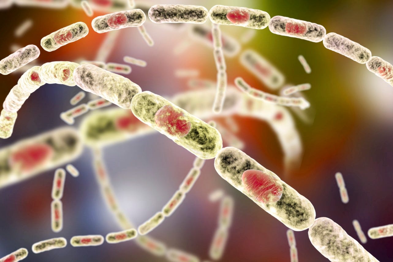 The deadliest biological weapons in history - Anthrax