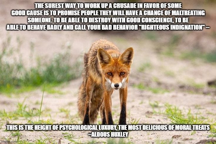 This may contain: a red fox walking across a dirt road next to green grass and weeds with an inspirational quote written in front of it