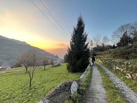 Top L to R: starting at piazza San Martino in Lemna, frost on the trail up, hiking and friends, antipasti e vino, stinco secondo, Coco licking the remains of my pizzocheri plate, homemade cakes for dolce, and the walk down at sunset,