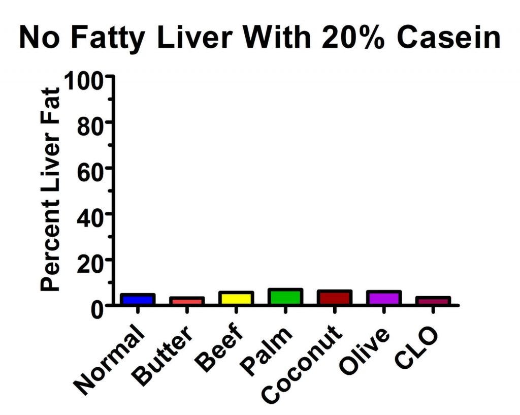 Proteine protects against fatty liver disease.
