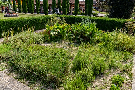 George Blanc herb garden