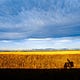A North American Bicycle Journey