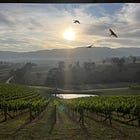 Taste and terroir: a leader's AI playbook