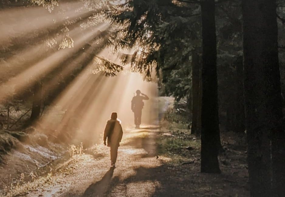 A Brother's Shadow by Ida Linehan Young