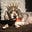 Aristocratic Dog's avatar