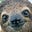 EntropySloth's avatar