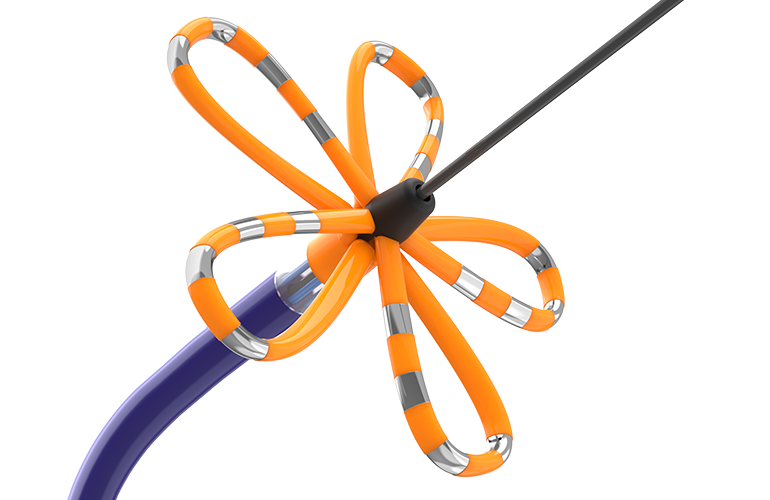 Catheter design is key for Boston Scientific's Farapulse PFA system
