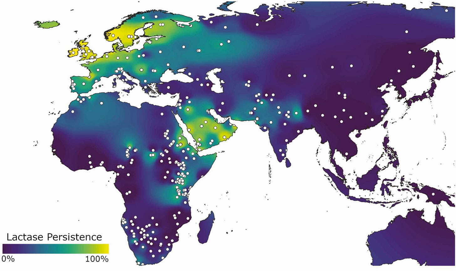 r/MapPorn - Map of lactase persistence throughout Eurasia and Africa r/MapPorn - Map of lactase persistence throughout Eurasia and Africa