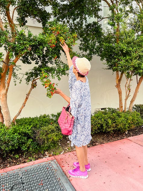 Mirror selfie of woman in athleisure wear, photo of vegetables in variety of colors at the supermarket, photo of raindrops on two different types of tree green tree leaves, photo of tall tree branches and leaves against a blue and white-cloud sky, photo of woman picking berries from a tree along a city sidewalk, photo of a early 20th century hotel in the distance seen in the space between two palm trees in the foreground, photo of dusk at the beach with white and blue and pink skies, photo of a blue lifeguard stand on a sandy beach with blue water and blue sky in the background, photo of a full moon shrouded in clouds just after sunset on the beach with a handful of people on a wide expanse of sandy beach