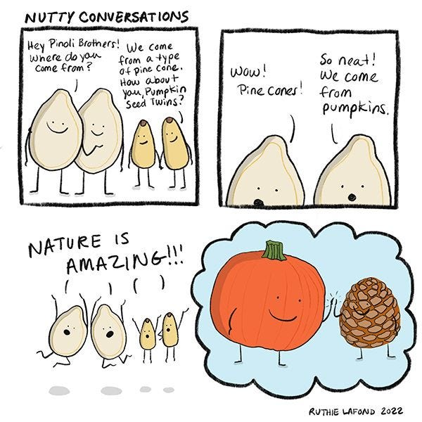 The Pumpkin Seed Twins and the Pinoli Brothers are standing together. “Hey Pinoli Brothers! Where do you come from?” asks one of the twins. “We come from a type of pinecone. What about you, Pumpkin Seed Twins?” reply the brothers. “Wow! Pinecones!” says one of the twins. “So neat! We come from pumpkins,” says the other. “Nature is amazing!” everyone exclaims, jumping in the air.