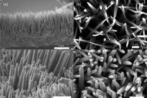 Top and side views of the uncoated (a,b) and AZO-coated (c,d) samples, obtained by scanning electron microscopy.
