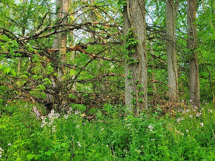 Chain O’ Lakes State Park