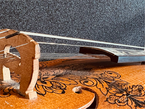 Hardanger fiddle closeups