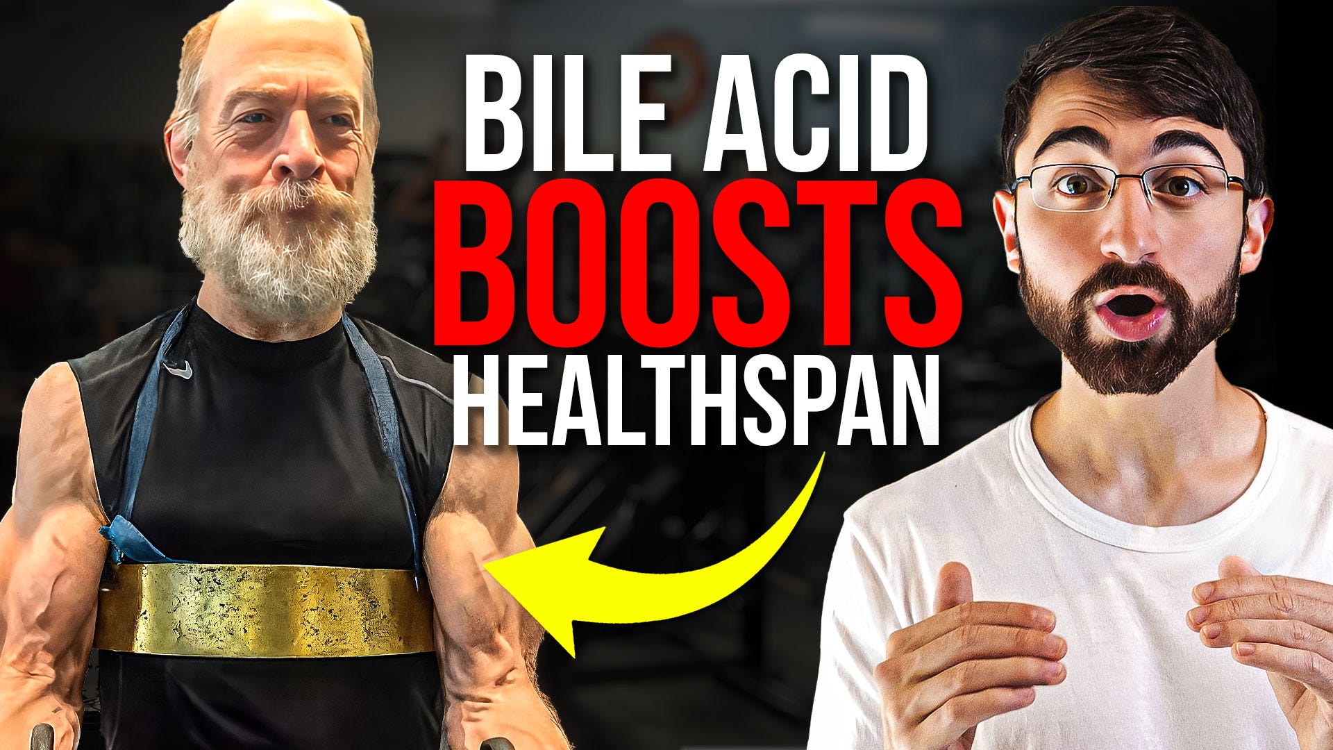 Picture Idea: The Gut Molecule That Mimics Caloric Restriction Without Muscle Loss