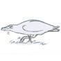 Clare Taylor's avatar