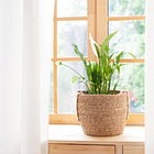 Why Your Space Is Working Against Your ADHD Brain
