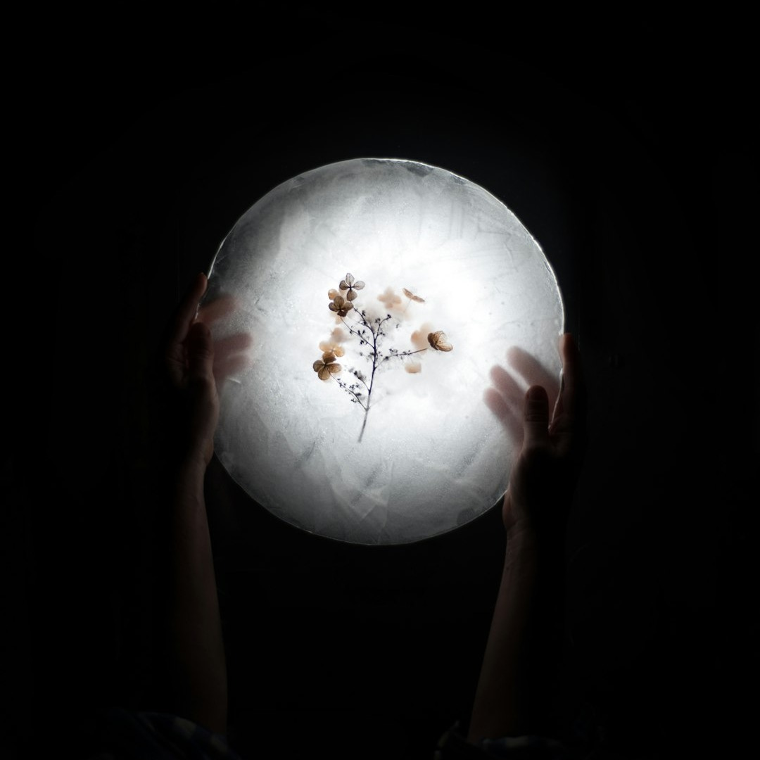 person holding a preserve flower