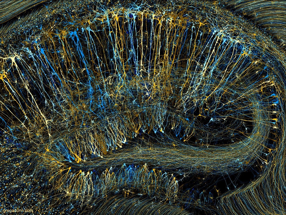 Brainbow Hippocampus in Blue and Gold - GREG DUNN NEURO ART
