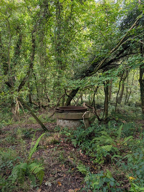 Images of gnarled wood, chains, a concrete vent pipe and trees in the forest