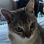 Wobbly's avatar