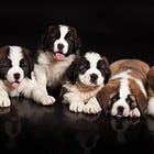My statistical seven
