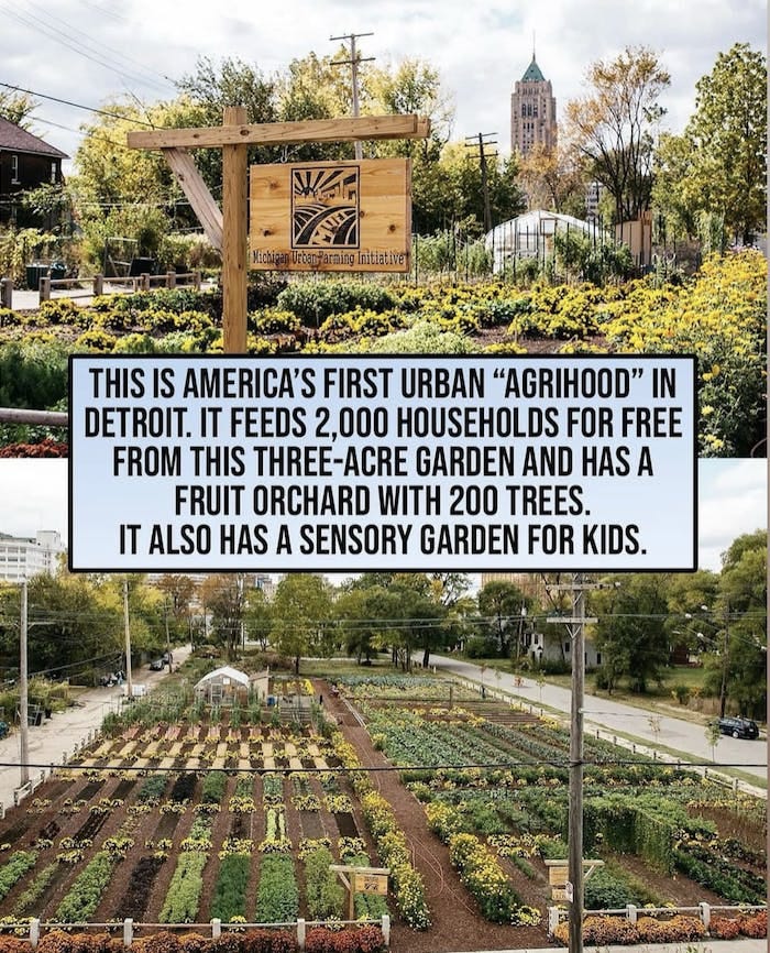 046: Slowing it all down! 046: Slowing it all down!