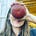 Lisa Dereszewski's avatar