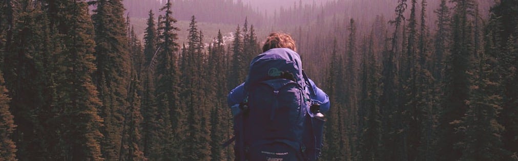 man standing on top of mountain with pine trees view