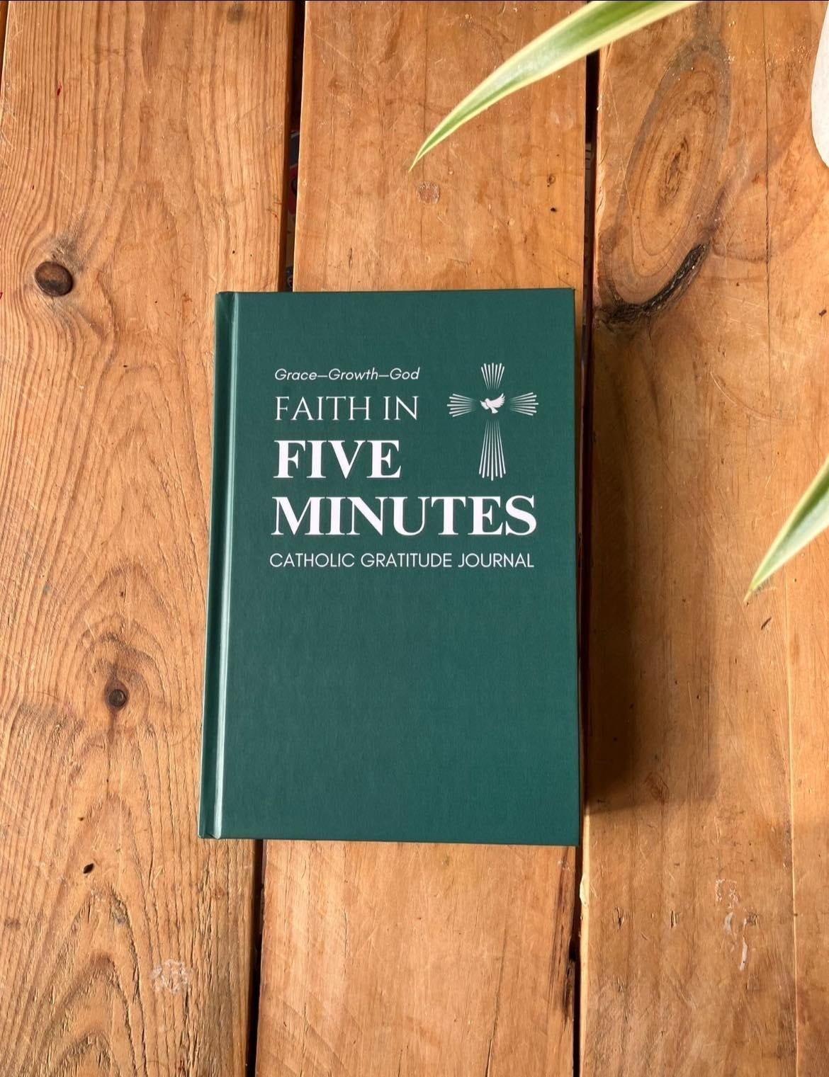 No photo description available. No photo description available.