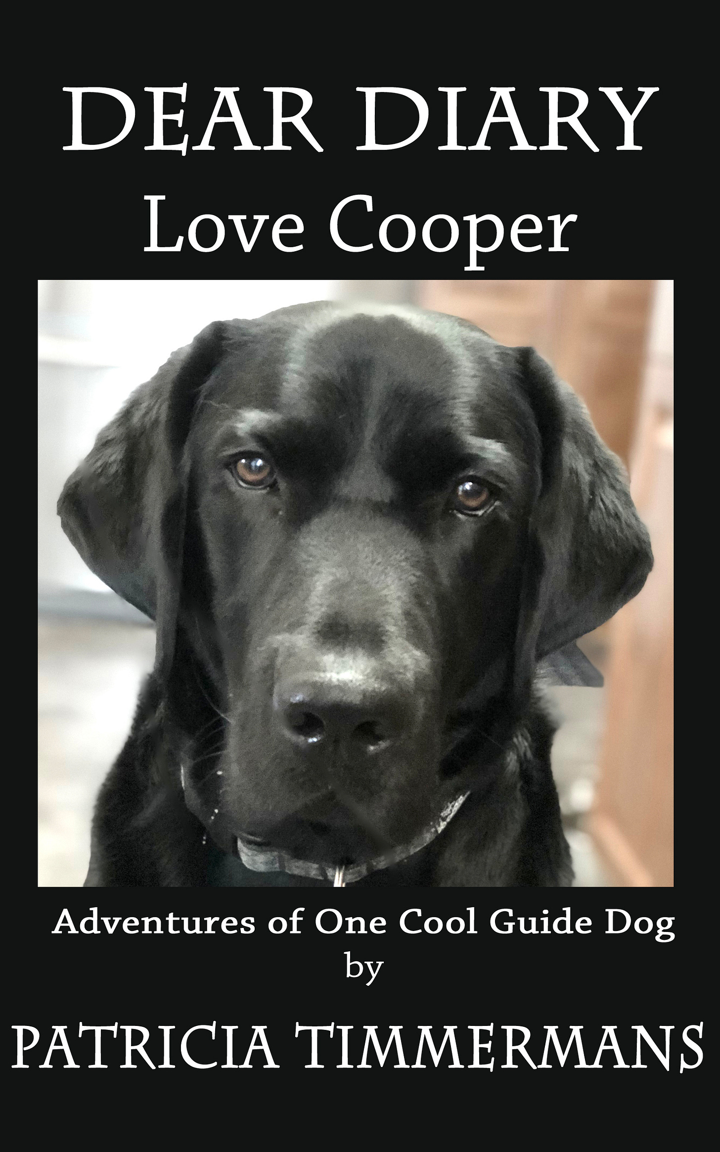 Picture of the book cover for Dear Diary, Love Cooper by Patricia Timmermans