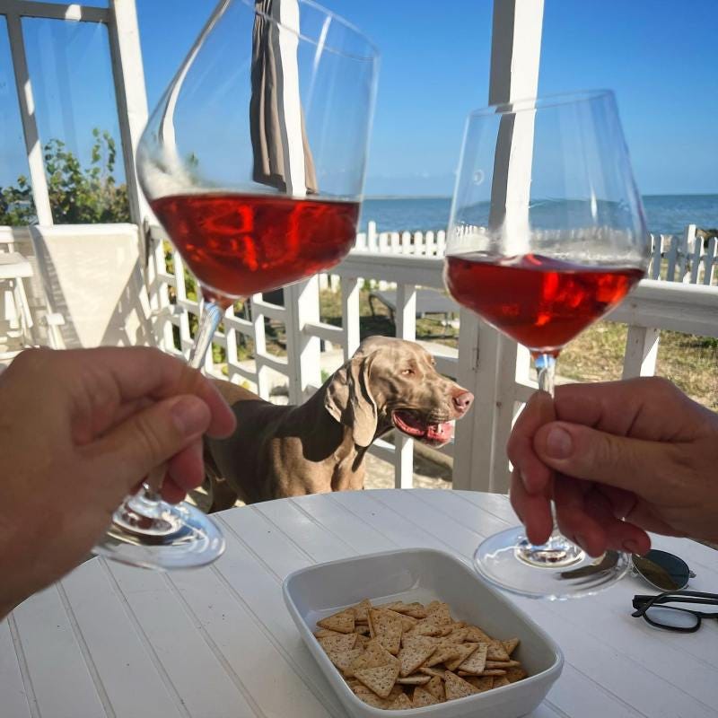 Ontspannen in het huisje aan zee op Ile-de-Ré.
