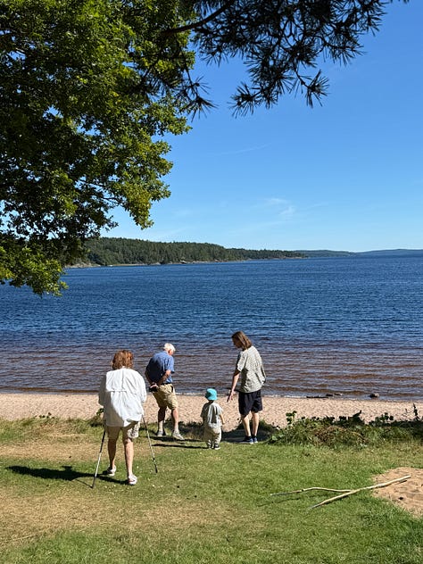 Images of the beach in sweden and few distant family members