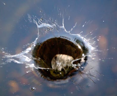 Re: Mental Models-The Macroeconomic Pond & The Big Chop.