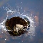 Re: Mental Models-The Macroeconomic Pond & The Big Chop.