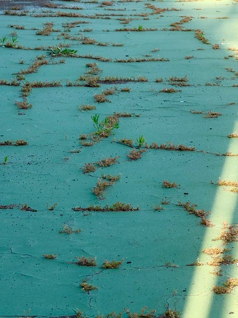 How the tennis courts looked before