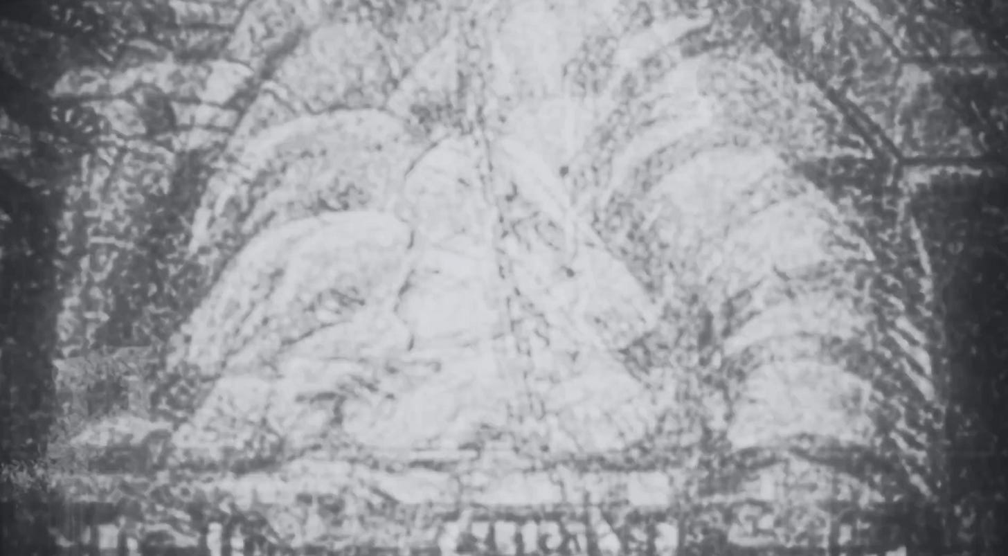 A collage of grungy organic textures layered on top of each other in greyscale.