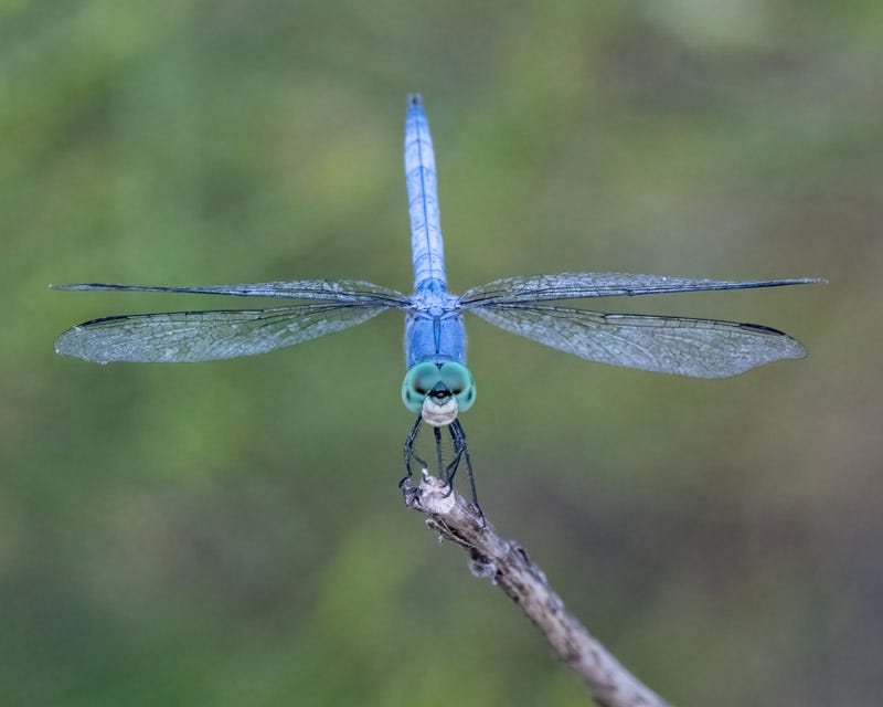 20250818-ElRio-217-Edit 2.jpg 20250818-ElRio-217-Edit 2.jpg