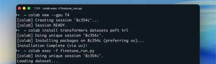 Colab CLI 命令行界面