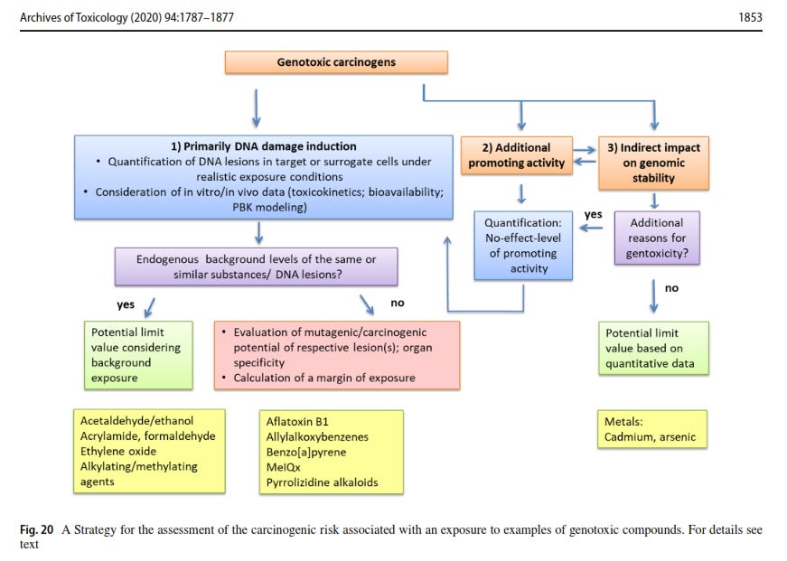 Hartwig A, Arand M, Epe B, Guth S, Jahnke G, Lampen A, Martus HJ, Monien B, Rietjens IMCM, Schmitz-Spanke S, Schriever-Schwemmer G, Steinberg P, Eisenbrand G. Correction to: Mode of action-based risk assessment of genotoxic carcinogens. Arch Toxicol. 2020 Sep;94(9):3347. doi: 10.1007/s00204-020-02862-8. Erratum for: Arch Toxicol. 2020 Jun;94(6):1787-1877. doi: 10.1007/s00204-020-02733-2. PMID: 32696078; PMCID: PMC7645455. Hartwig A, Arand M, Epe B, Guth S, Jahnke G, Lampen A, Martus HJ, Monien B, Rietjens IMCM, Schmitz-Spanke S, Schriever-Schwemmer G, Steinberg P, Eisenbrand G. Correction to: Mode of action-based risk assessment of genotoxic carcinogens. Arch Toxicol. 2020 Sep;94(9):3347. doi: 10.1007/s00204-020-02862-8. Erratum for: Arch Toxicol. 2020 Jun;94(6):1787-1877. doi: 10.1007/s00204-020-02733-2. PMID: 32696078; PMCID: PMC7645455.