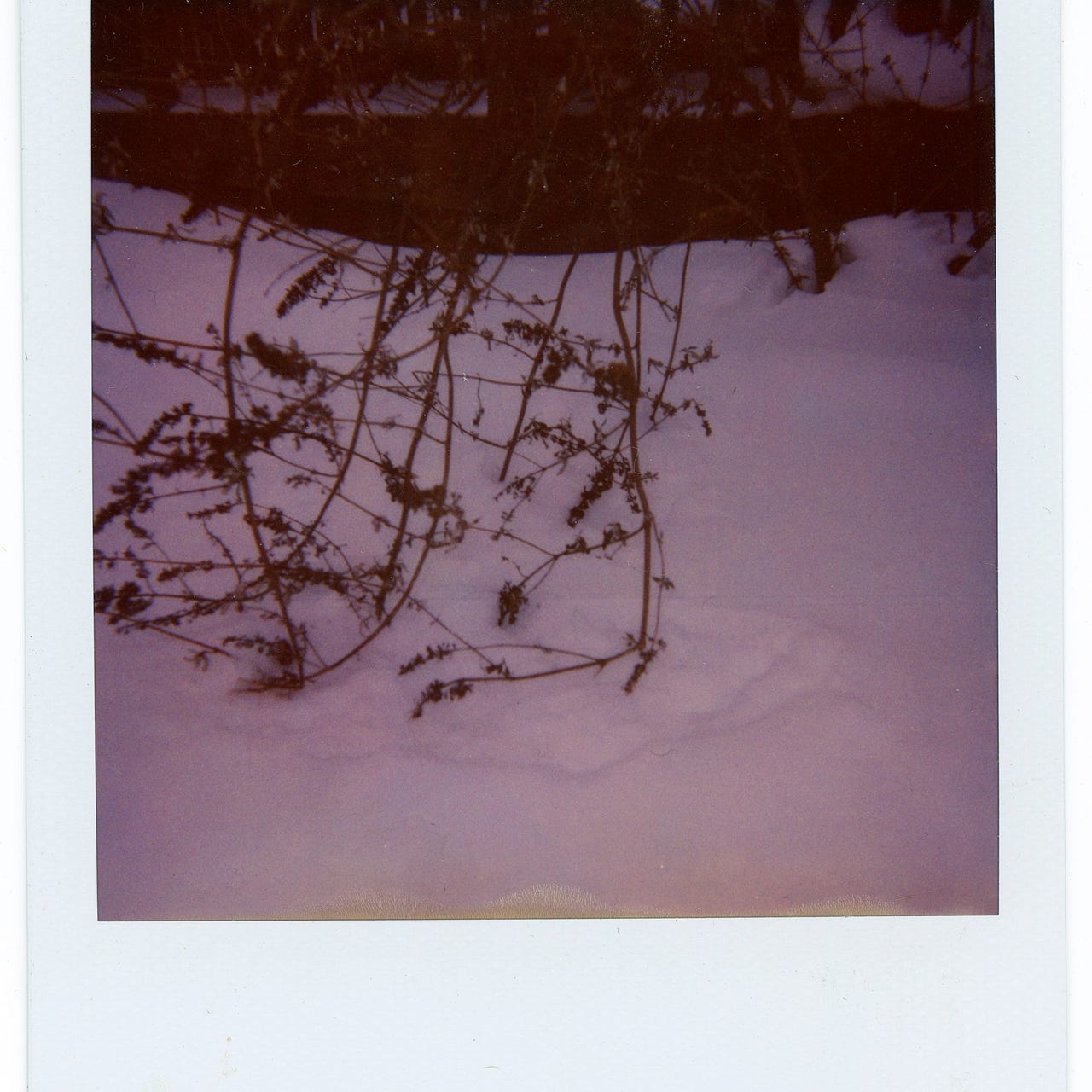 for your consideration