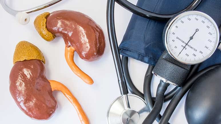 how kidneys influence blood pressure