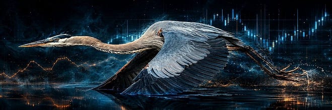 Stalking Sats with Day Trader Steve