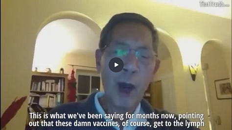 COVID, COVID Shots/”Vaccines”, & SARS-CoV-2 Spike Protein — What Can We Do About Their Effects on Us?