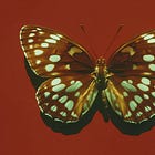 how to become antifragile