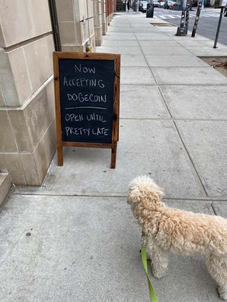 More and more businesses are starting to accept Dogecoin