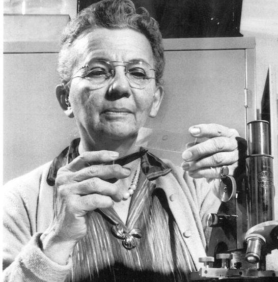Florence Barbara Seibert | Florida Women's Hall of Fame Florence Barbara Seibert | Florida Women's Hall of Fame