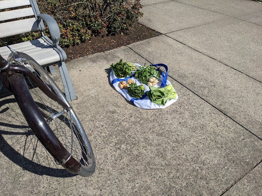 a duffel bag of produce