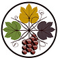 Napa Valley Features's avatar